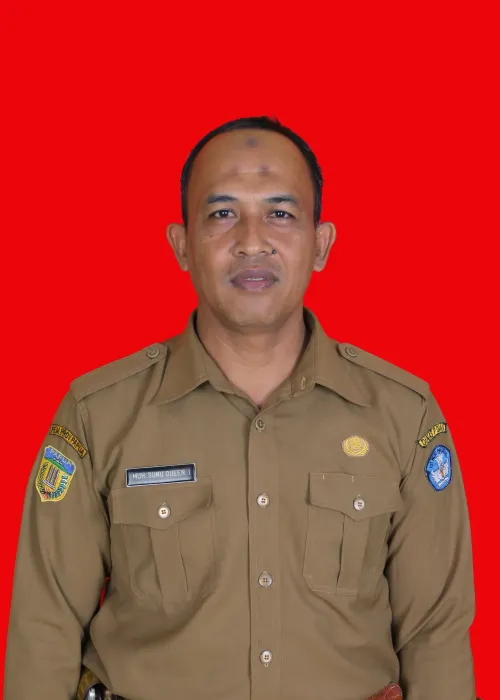Drs. Muh. Sunu Queen Irianto